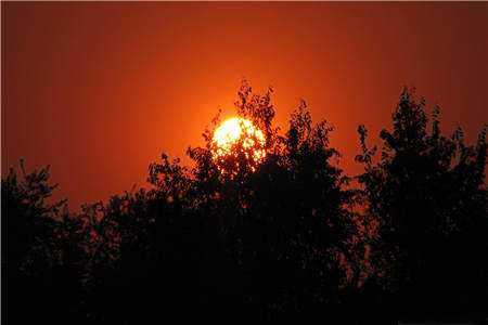 绝世好腰林夕楚辞小说完整章节目录阅读