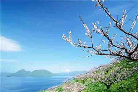 沈大林完整全文章节阅读