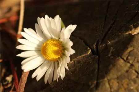 微信截图_20220819104125.jpg 微信截图_20220819104125.jpg