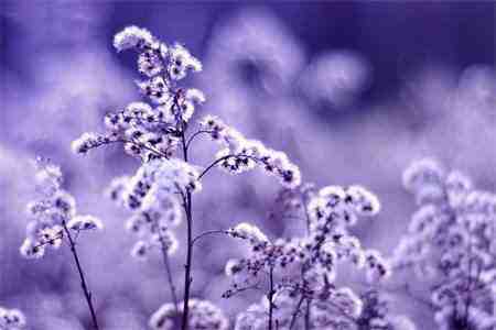 微信截图_20220819104237.jpg 微信截图_20220819104237.jpg