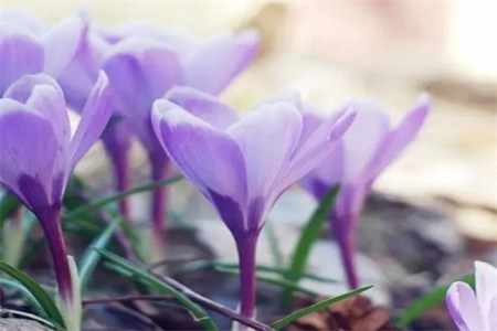 微信截图_20220819104121.jpg 微信截图_20220819104121.jpg