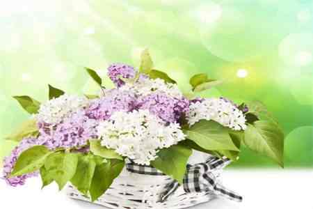 微信截图_20220819104244.jpg 微信截图_20220819104244.jpg