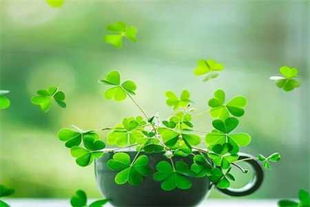 微信截图_20220819104258.jpg 微信截图_20220819104258.jpg