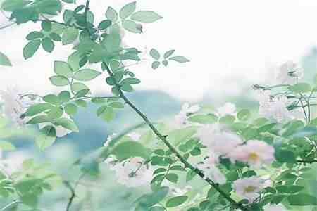 微信截图_20220819104302.jpg 微信截图_20220819104302.jpg