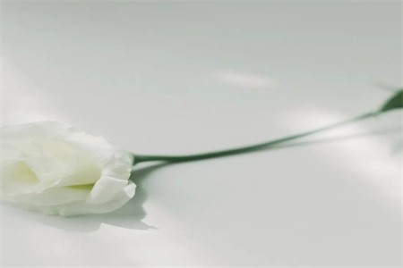 微信截图_20220819104305.jpg 微信截图_20220819104305.jpg