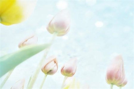 微信截图_20220819104318.jpg 微信截图_20220819104318.jpg