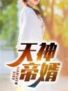 天神帝婿完整版全文阅读 赵苍穹 大结局