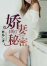 《娇妻的秘密》小说完结版免费阅读 王小贱,乔甜小说全文