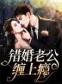 《错婚老公缠上瘾》小说全文精彩试读 苏北柠,慕衍琛小说全文