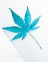 《遇见你的味道》遇见你的味道小说最新章节目录及全文完整版