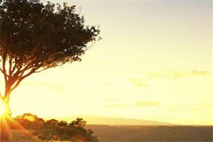江淮宋昭昭(妖精的眼神)全文免费阅读无弹窗_妖精的眼神最新章节列表-笔趣阁(江淮宋昭昭)