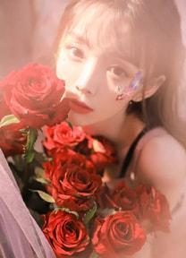 佚名最新小说《无可奈何花落去》夏倾月萧沐洛汐在线试读