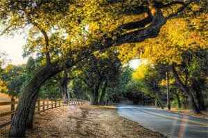 施凝沈宗询（全集完整版已完结大结局小说）施凝沈宗询全文阅读笔趣阁