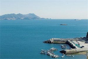 抖音新书热荐施凝沈宗询-小说（施凝沈宗询）主角施凝沈宗询全文完整版免费阅读