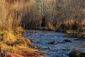 UC截图20220722155651.jpg UC截图20220722155651.jpg