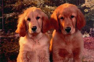 畅销热榜云锦斓萧景珩小说(云锦斓萧景珩)免费阅读无弹窗_云锦斓萧景珩最新章节列表-笔趣阁(云锦斓萧景珩)