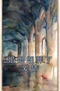 婚姻埋葬了爱情全集小说_司念路阳完结版阅读