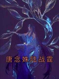 抖音小说《唐念姝陆战霆》唐念姝陆战霆全文txt