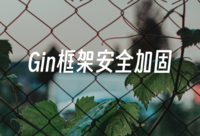 Go语言Gin框架安全加固：全面解析SQL注入、XSS与CSRF的解决方案