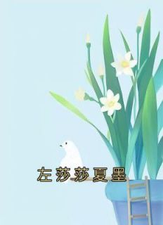 主角乐卉夏墨小说完整版最新章节-左莎莎夏墨免费阅读全文