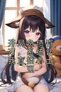 小说开局负债百万,系统让我直播小土豆主角为沈泽张宏远免费阅读