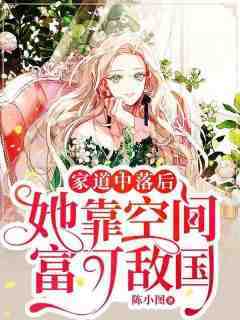 (抖音小说)洛向西陆行知小说全文阅读免费