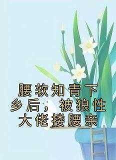 [抖音]小说时宛孜江昀野腰软知青下乡后，被狼性大佬搂腰亲