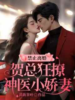 (热推新书)《禁止离婚！贺总狂撩神医小娇妻》安梓逸贺言希无弹窗阅读