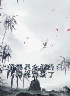 佚名写的小说《修真界大佬的白月光复活了》阮婳青岚全文阅读