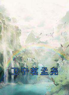 （全集-免费）卫宁茗孟尧完本小说_卫宁茗孟尧全文免费阅读