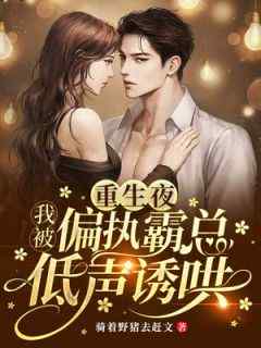 《重生夜，我被偏执霸总低声诱哄》完整版-沈烟岚商枭在线全文阅读
