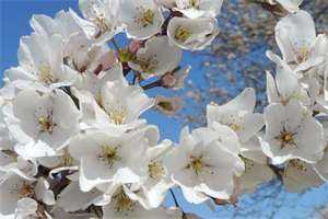 UC截图20220722155818.jpg UC截图20220722155818.jpg