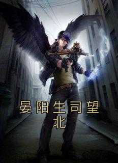 快手晏阳生司望北主角的小说全本章节大结局