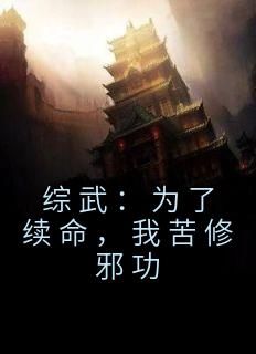 《综武：为了续命，我苦修邪功》苏长兴林镇南全章节完结版在线阅读