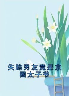 抖音小说《失踪男友竟是京圈太子爷》林稚鱼顾言酌沈渝全文txt