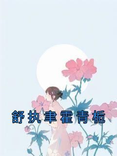 抖音爆款舒执聿霍青栀小说免费阅读