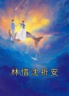 林惜沈祈安在线全文阅读-主人公林惜沈祈安小说