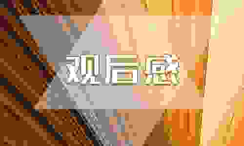 中小学生安全教育公开课观后感(15篇)