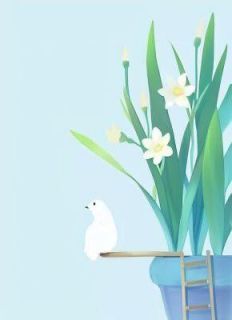 晚音何处觅免费阅读全文，主角晚音林觅小说完整版