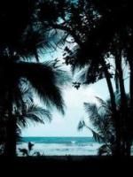 《假千金来后,三个哥哥都不爱我了》许朝朝林婉儿无广告在线阅读