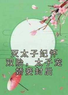 抖音爆款灭太子妃怀双胎,太子宠娇妾封后小说免费阅读