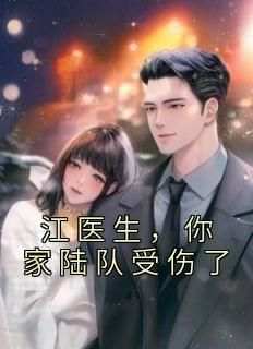 江医生,你家陆队受伤了小说百度云完整章节列表免费阅读