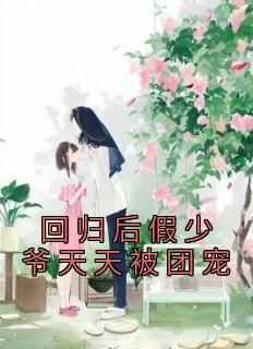 免费试读主角苏时晏苏婉凝小说