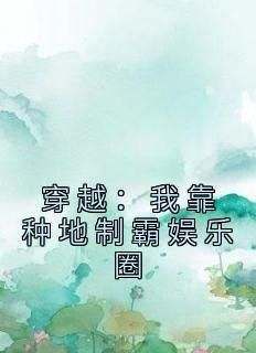 抖音完结《娱乐：搞节目效果我是专业的》苏洵苏志强(全文在线阅读)