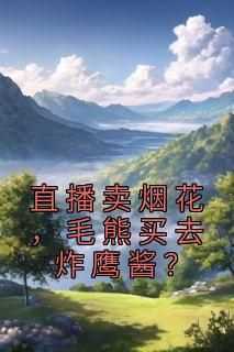 直播卖烟花，毛熊买去炸鹰酱？全文目录-苏奇黄鹤名小说无弹窗阅读