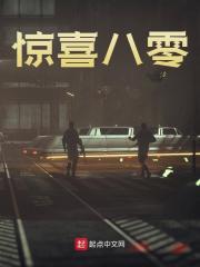 《惊喜八零》小说章节在线试读,《惊喜八零》最新章节目录