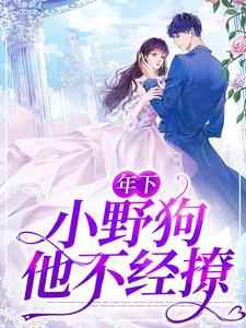 年下：小野狗他不经撩小说的无弹窗阅读体验，寻找免费阅读网站