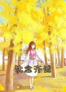 主人公沈念齐诚在线免费试读《沈念齐诚》最新章节列表