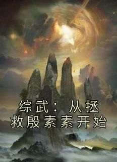 综武：从拯救殷素素开始(全章节)-苏玄综武在线阅读