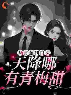 抖音从青葱到白头：天降哪有青梅甜txt小说阅读
